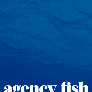 A complete backup of agencyfish.com