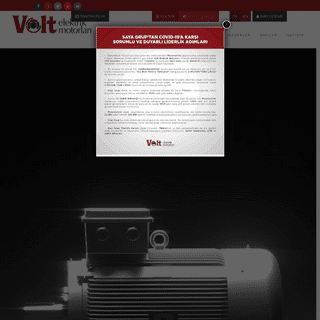A complete backup of voltmotor.com.tr