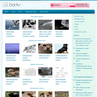 A complete backup of barks.ru