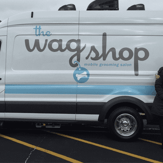 A complete backup of thewagshop.com