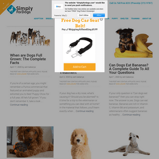 A complete backup of simplyfordogs.com