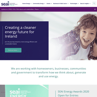 A complete backup of seai.ie