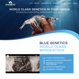 Blue Genetics, world class shrimp genetics in your hands
