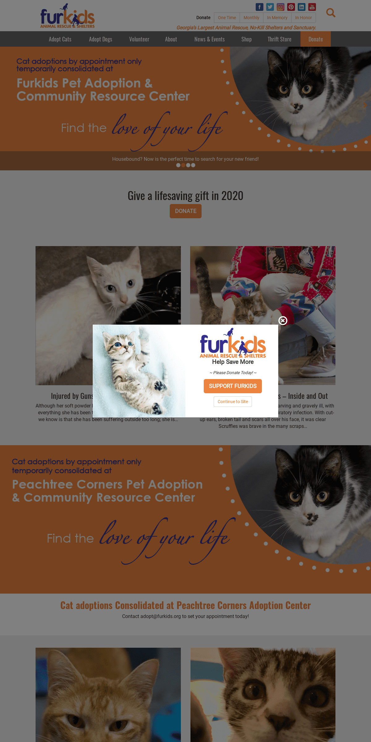 A complete backup of furkids.org