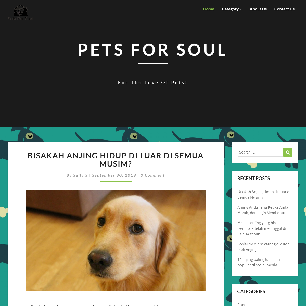 A complete backup of pets-for-soul.com