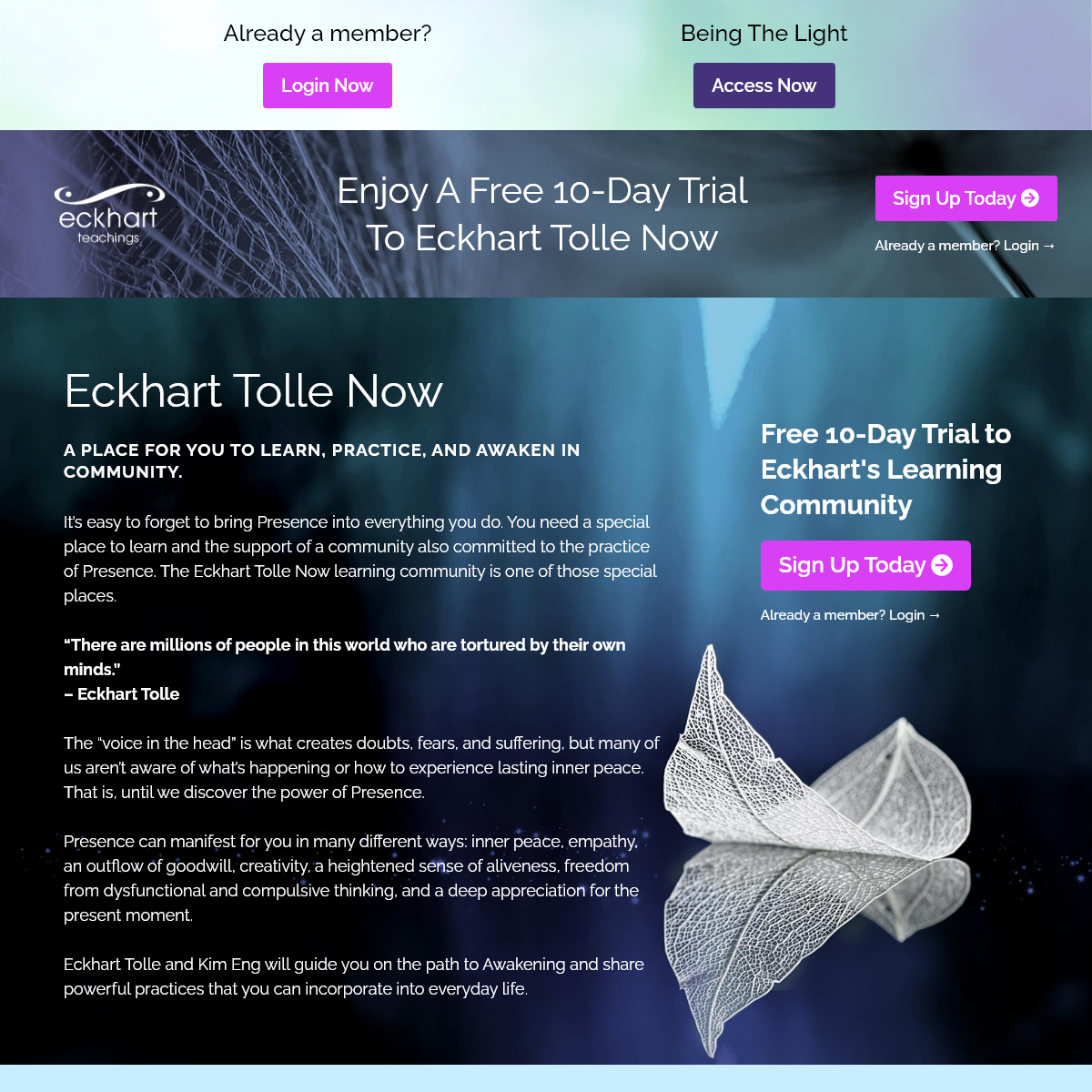 A complete backup of eckharttolletv.com