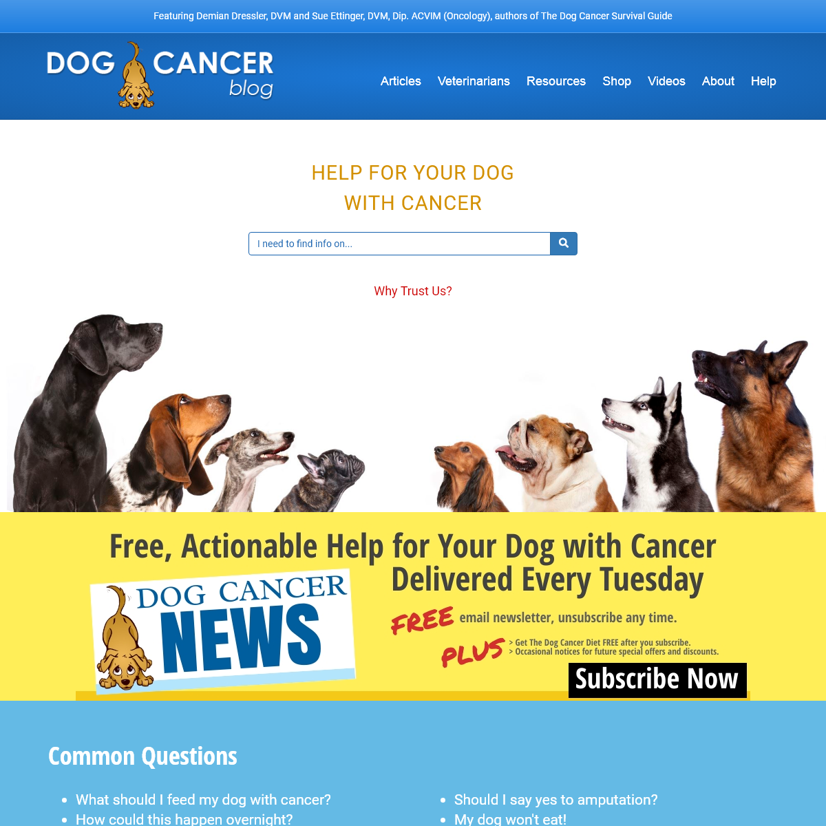 A complete backup of dogcancerblog.com