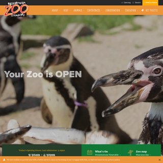A complete backup of welshmountainzoo.org