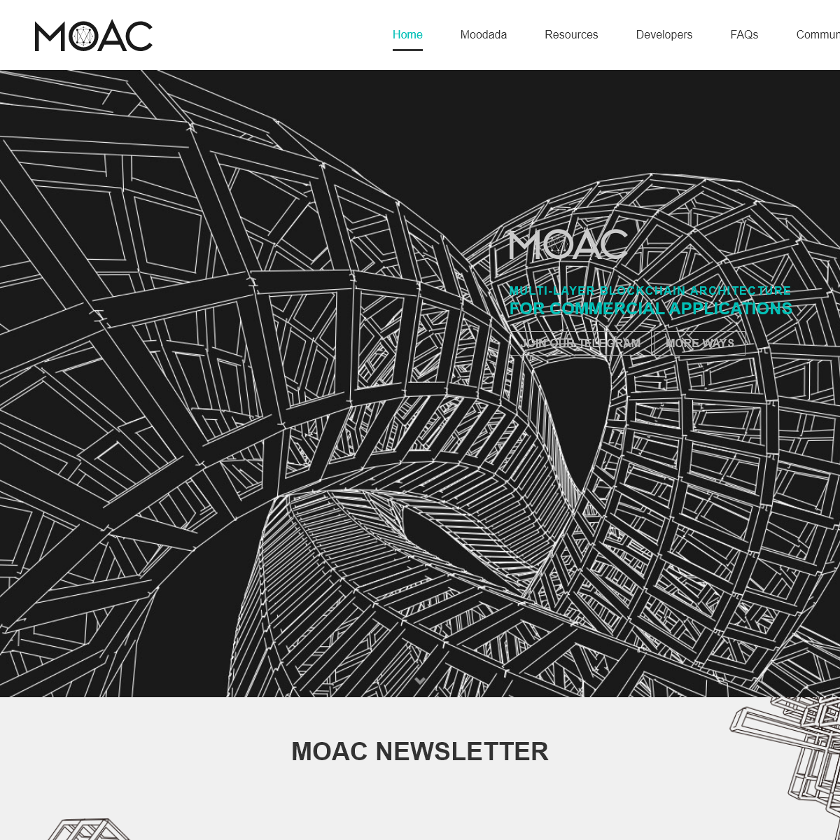 A complete backup of moac.io