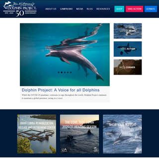 A complete backup of dolphinproject.com