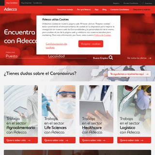 A complete backup of adecco.es