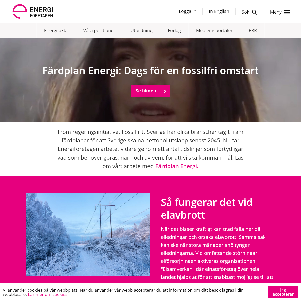 A complete backup of energiforetagen.se