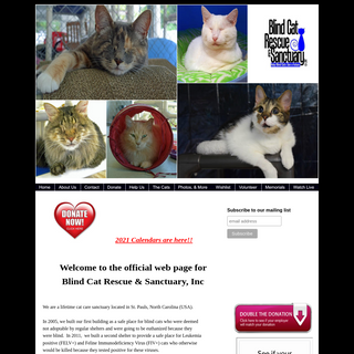 A complete backup of blindcatrescue.com