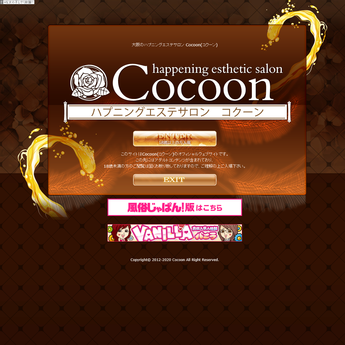 A complete backup of cocoon-e.com