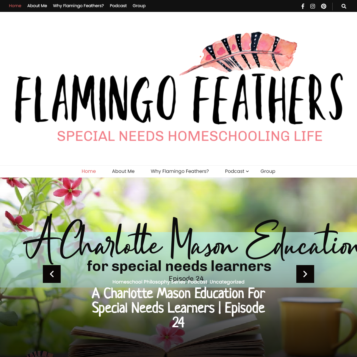 A complete backup of flamingo-feathers.com