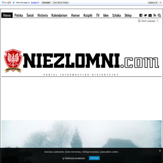 A complete backup of niezlomni.com