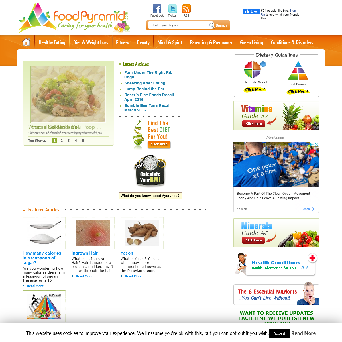 Food Pyramid - Food Guide Pyramid - Dietary Guidelines - MyPlate