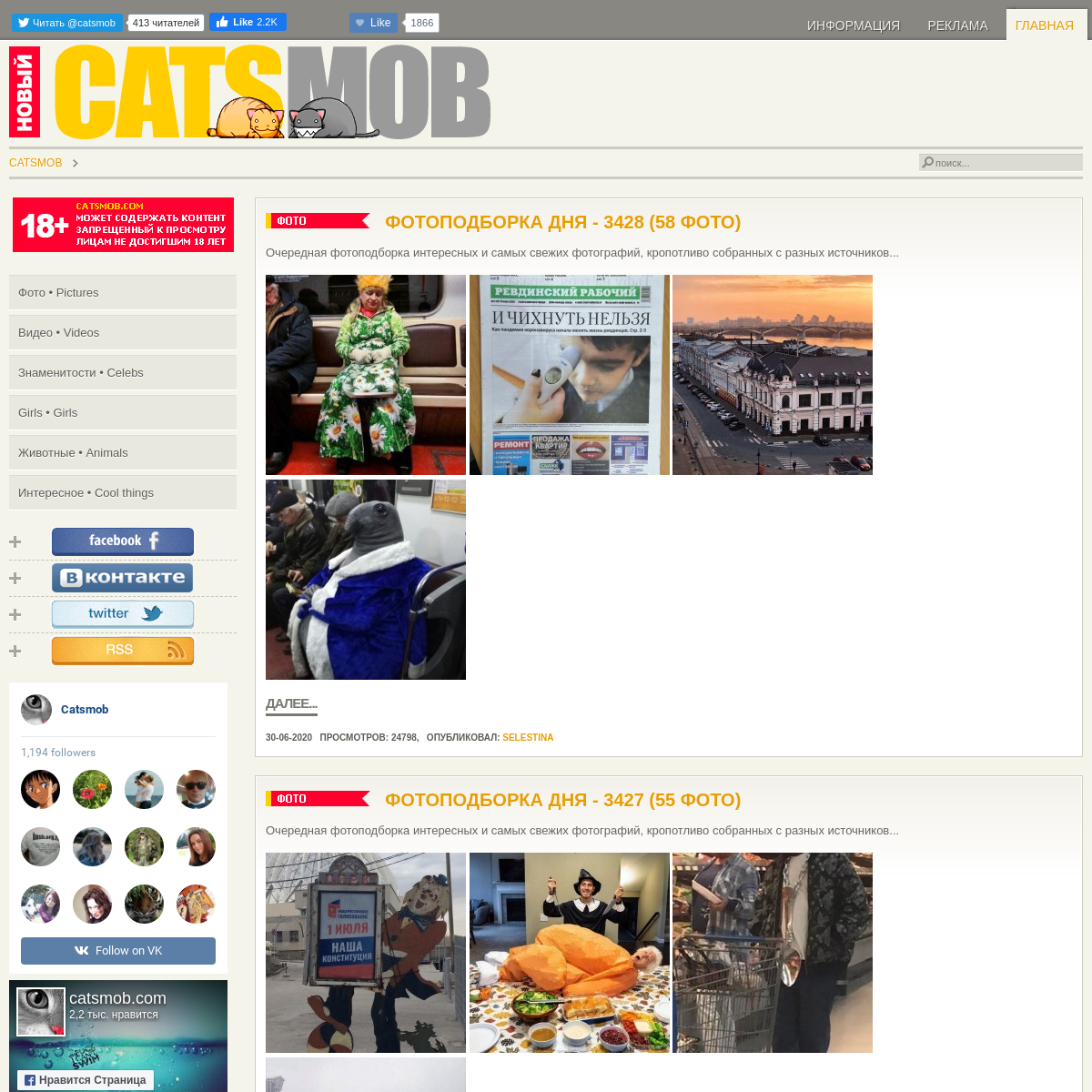 A complete backup of catsmob.com