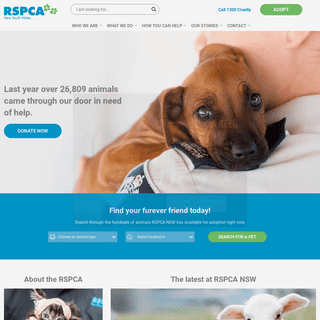 A complete backup of rspcansw.org.au