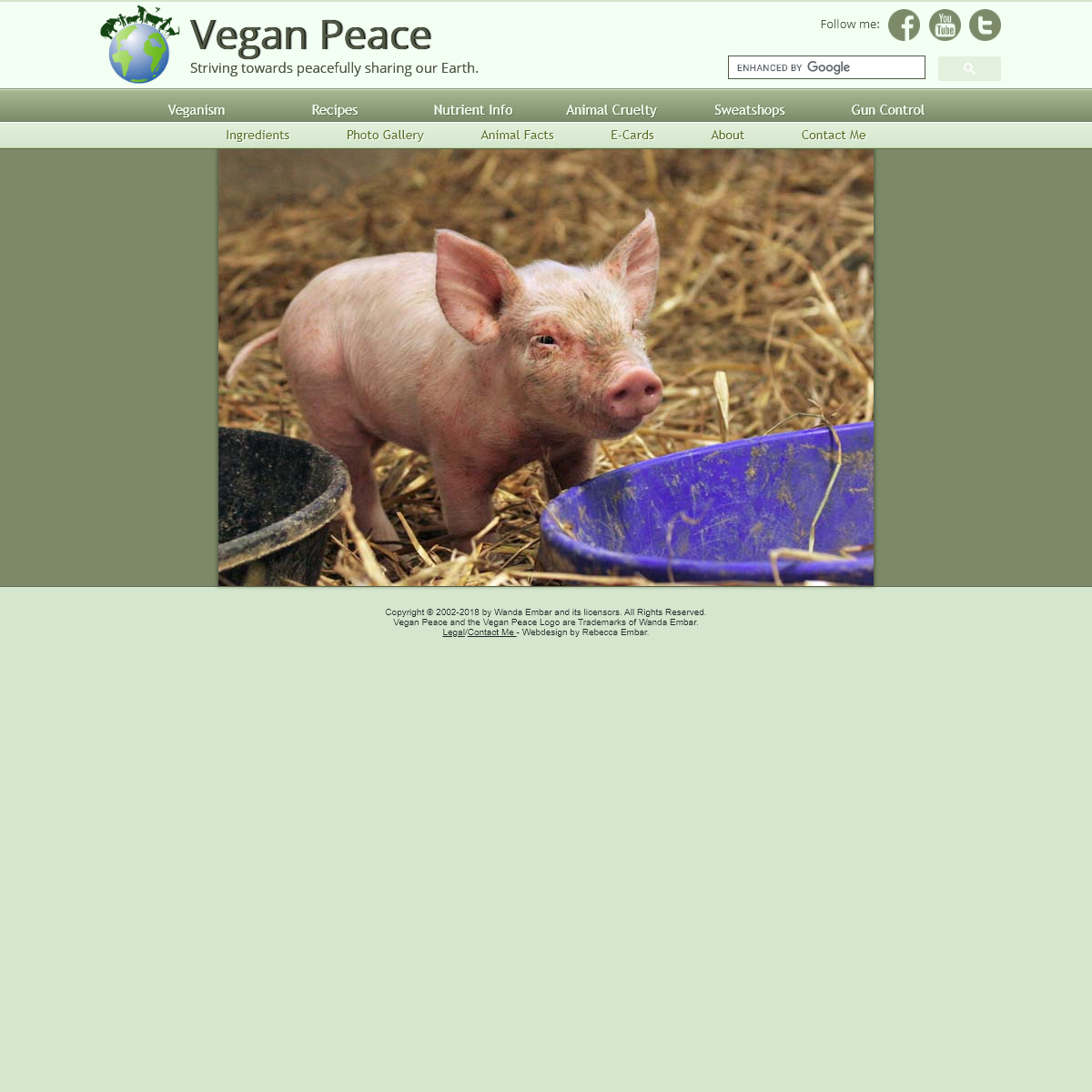 A complete backup of veganpeace.com