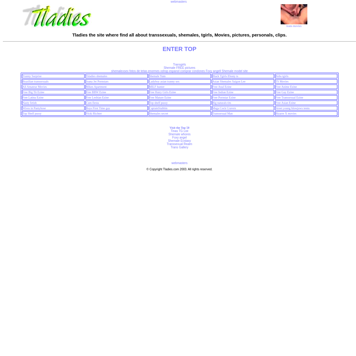 A complete backup of tladies.com