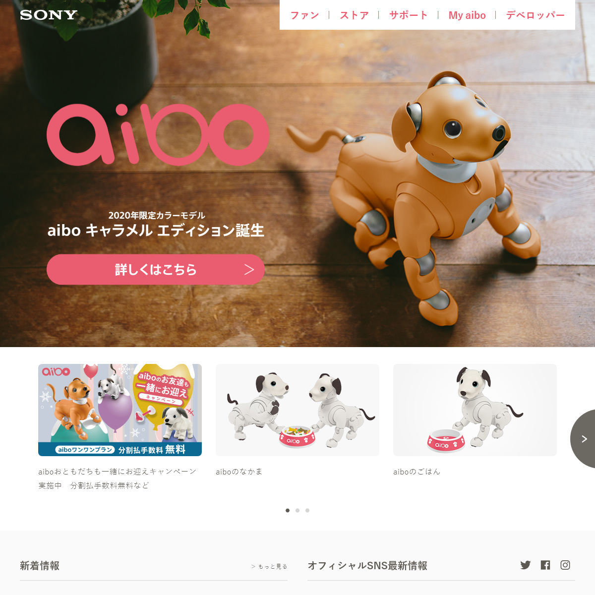 A complete backup of aibo.com