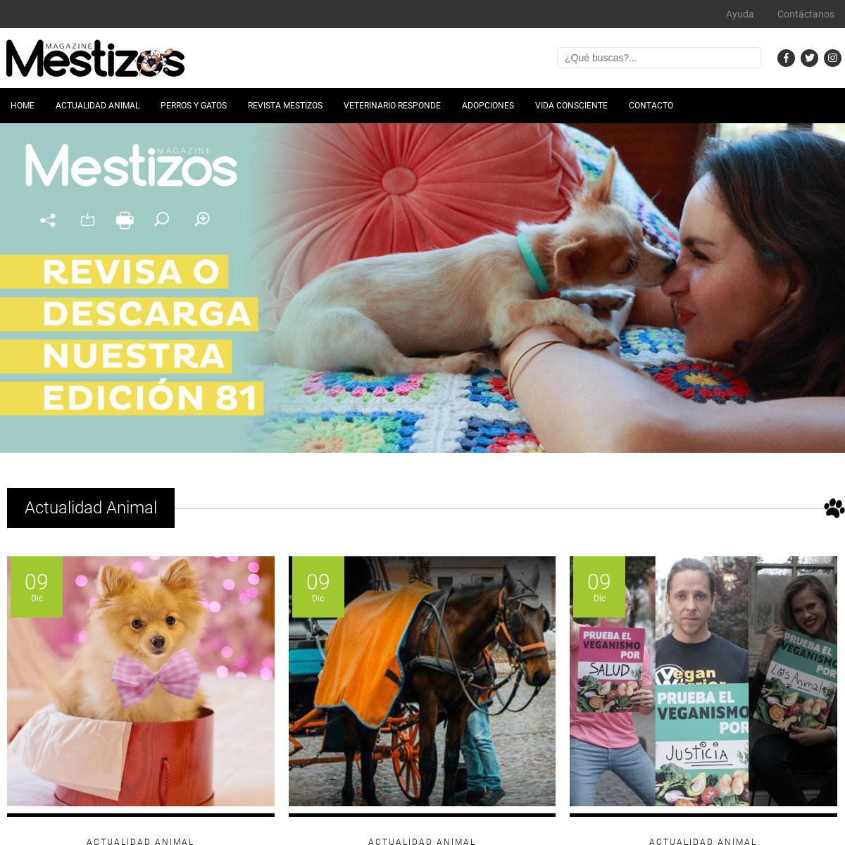 A complete backup of mestizos.cl