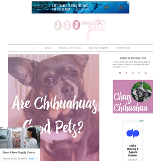 Irresistible Pets - Create an irresistible life with your pets!