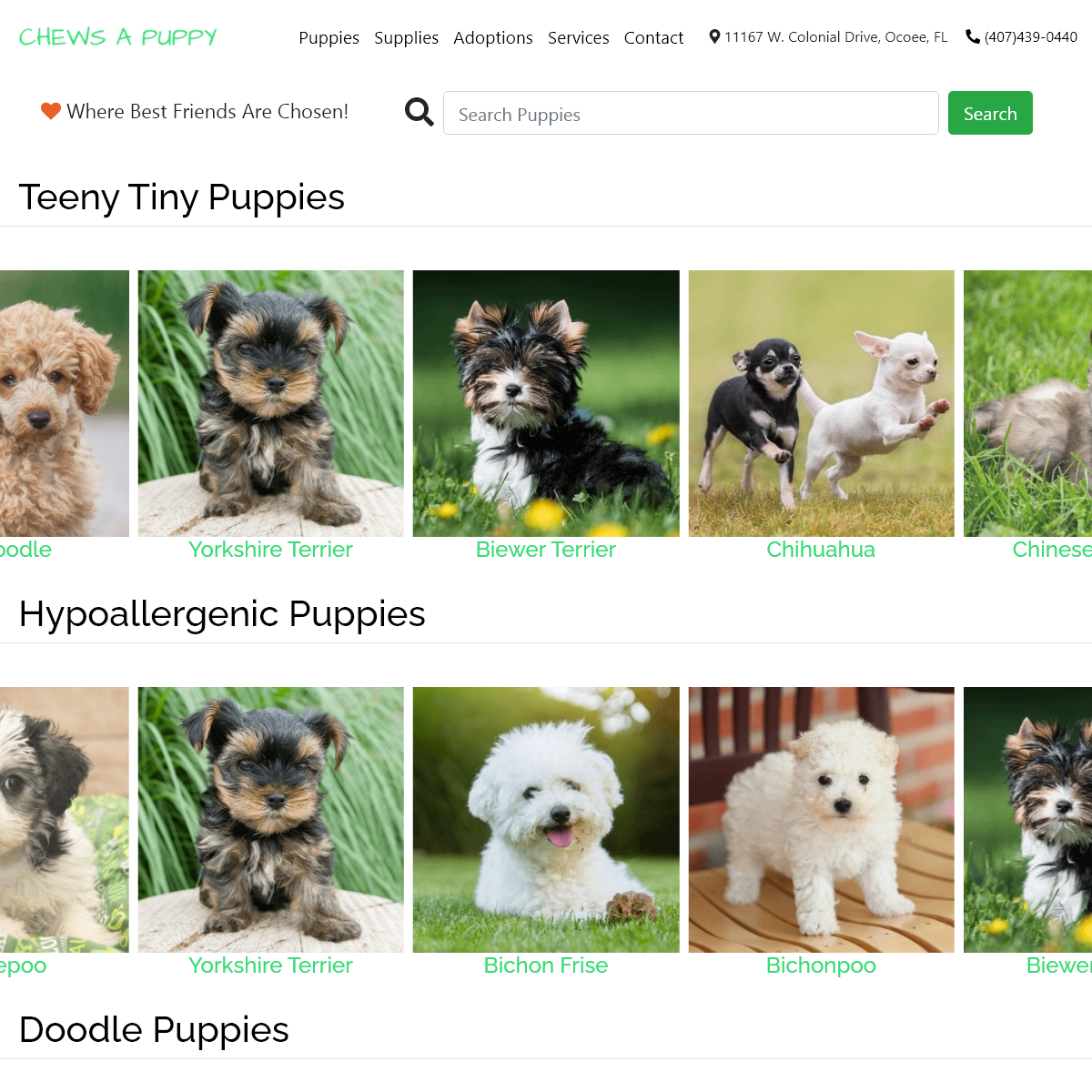 A complete backup of chewsapuppy.com