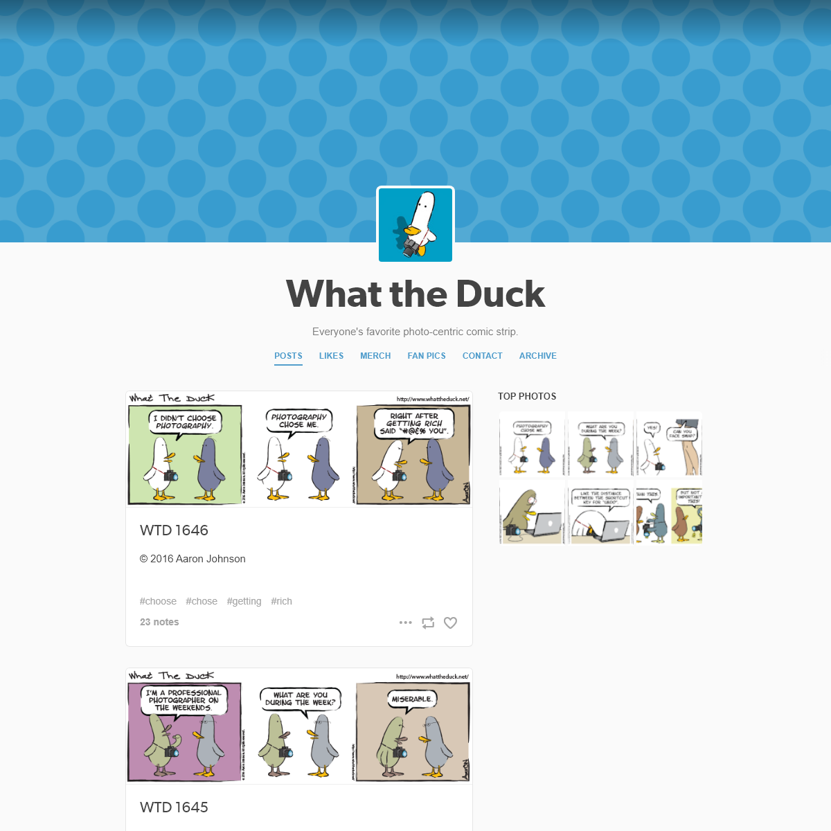 A complete backup of whattheduck.net