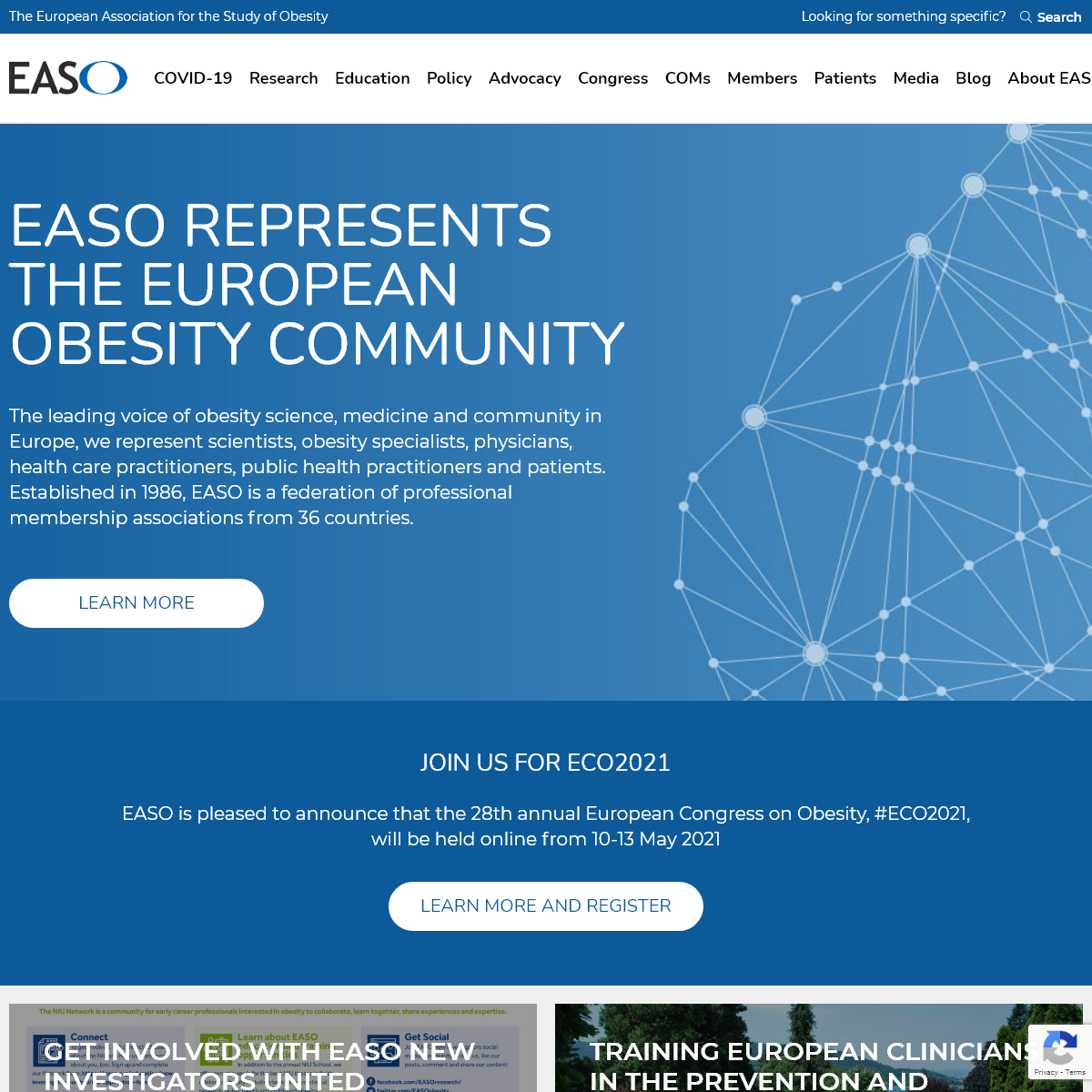 A complete backup of easo.org