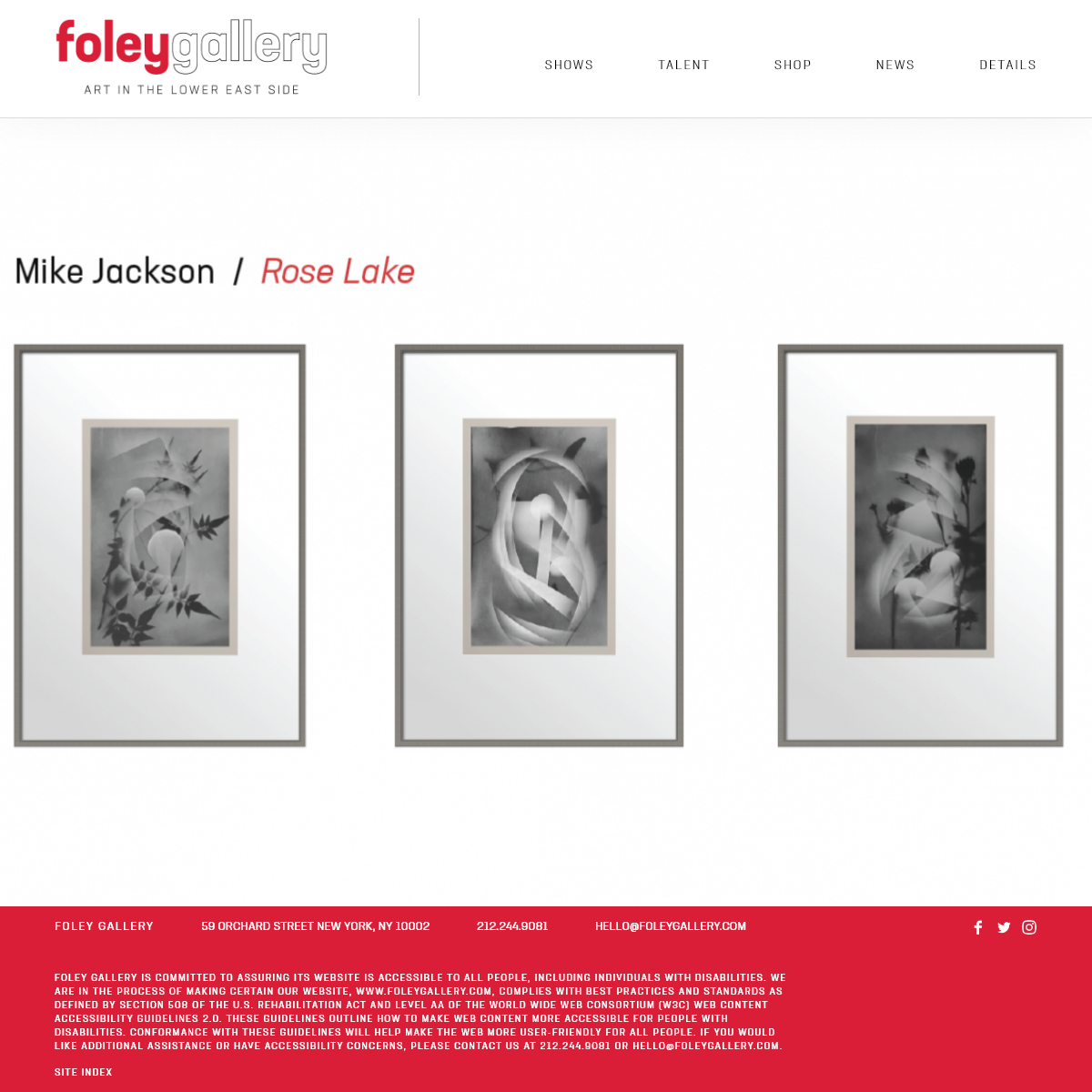 A complete backup of foleygallery.com