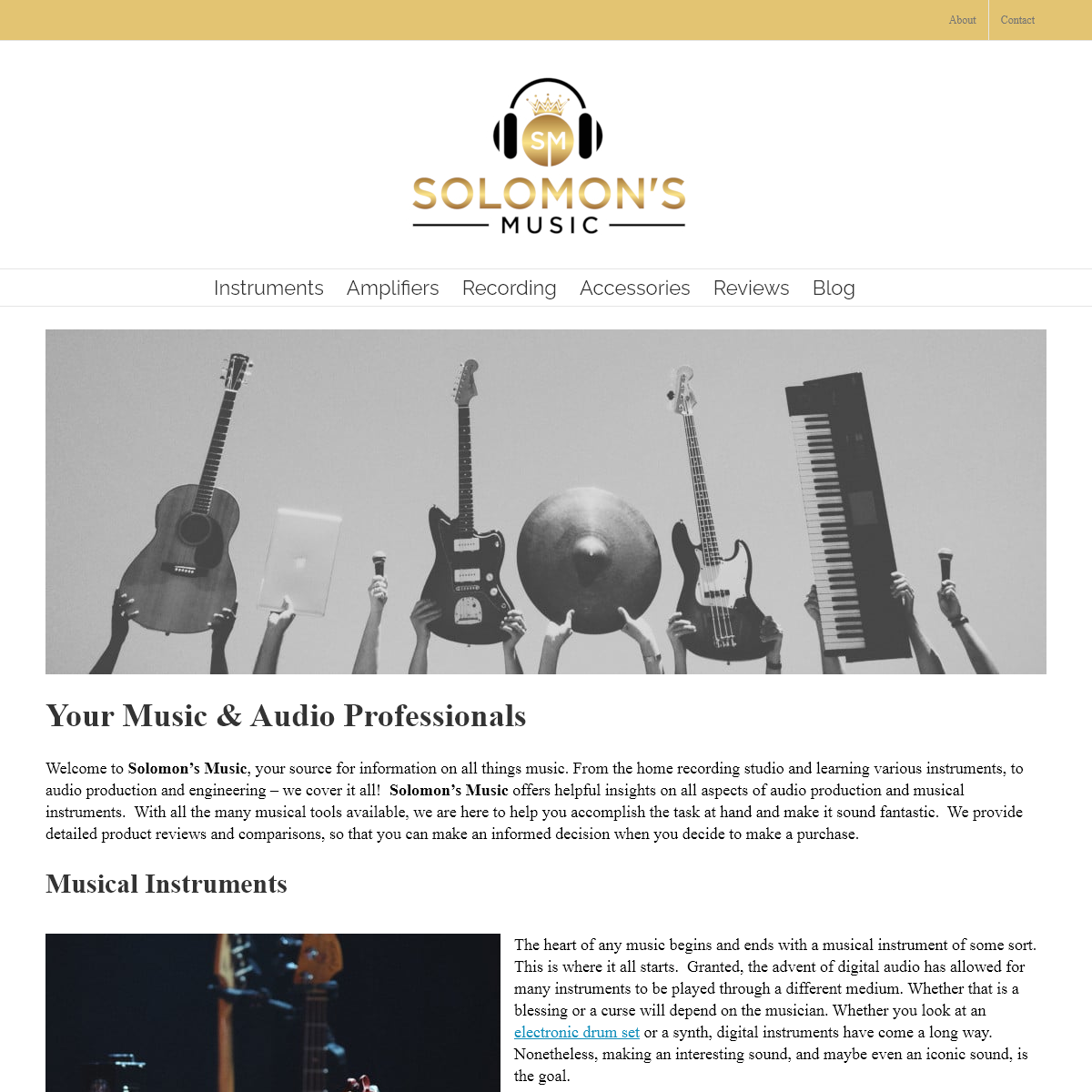 Music & Audio Professionals