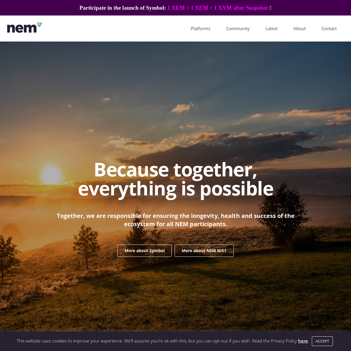 NEM Ecosystem Blockchain - Because together, everything is possible.