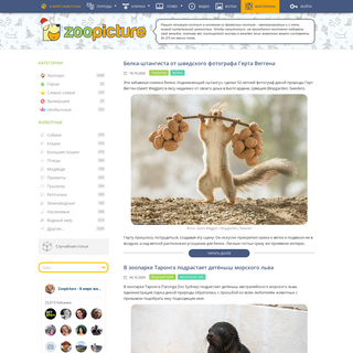 A complete backup of zoopicture.ru