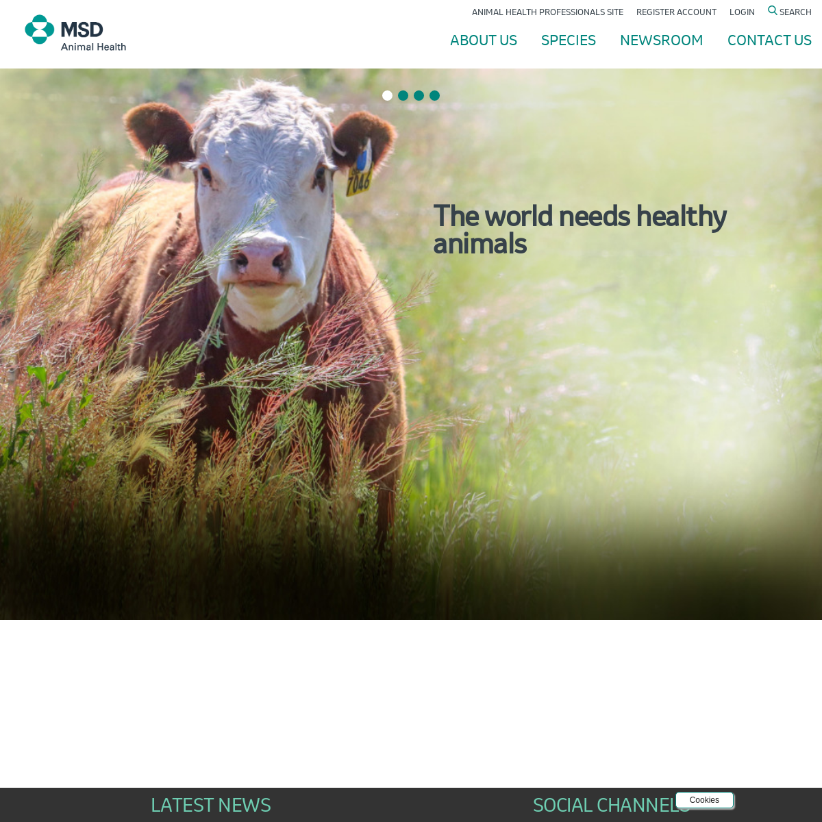 A complete backup of msd-animal-health.co.uk