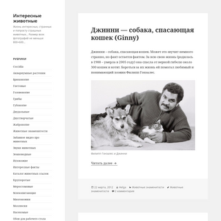 A complete backup of ianimal.ru