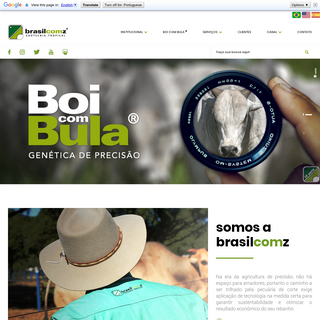 A complete backup of brasilcomz.com