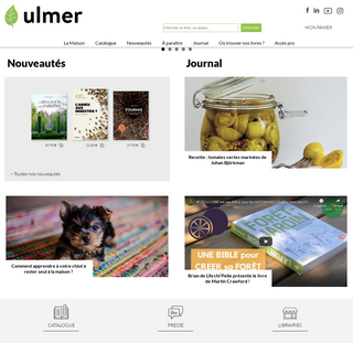 A complete backup of editions-ulmer.fr