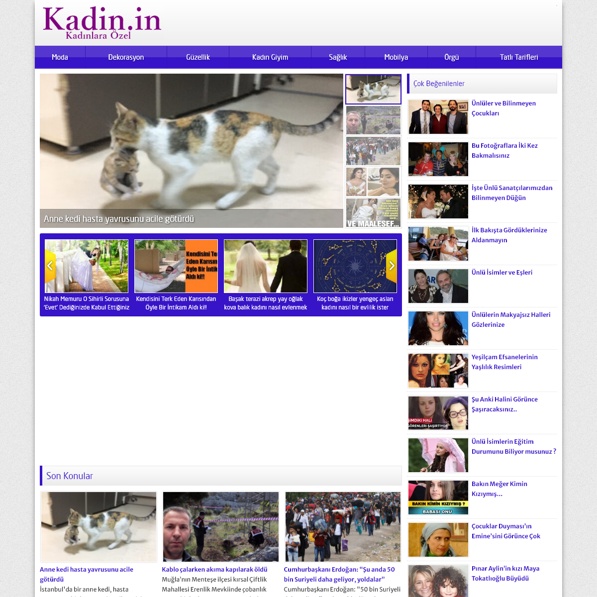 A complete backup of kadin.in