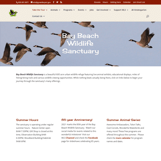 A complete backup of https://baybeachwildlife.com