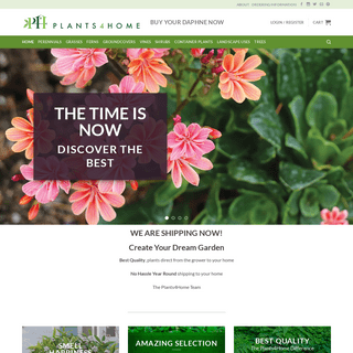 Plants4Home.com - Online Shopping For Plants - Plant Delivery