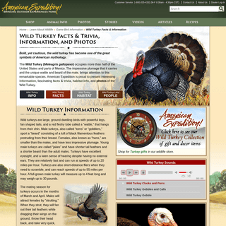 A complete backup of https://forum.americanexpedition.us/wild-turkey-information-facts-photos-and-artwork