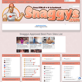 A complete backup of https://snaggys.com