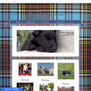 A complete backup of https://chessscottishterriers.weebly.com/