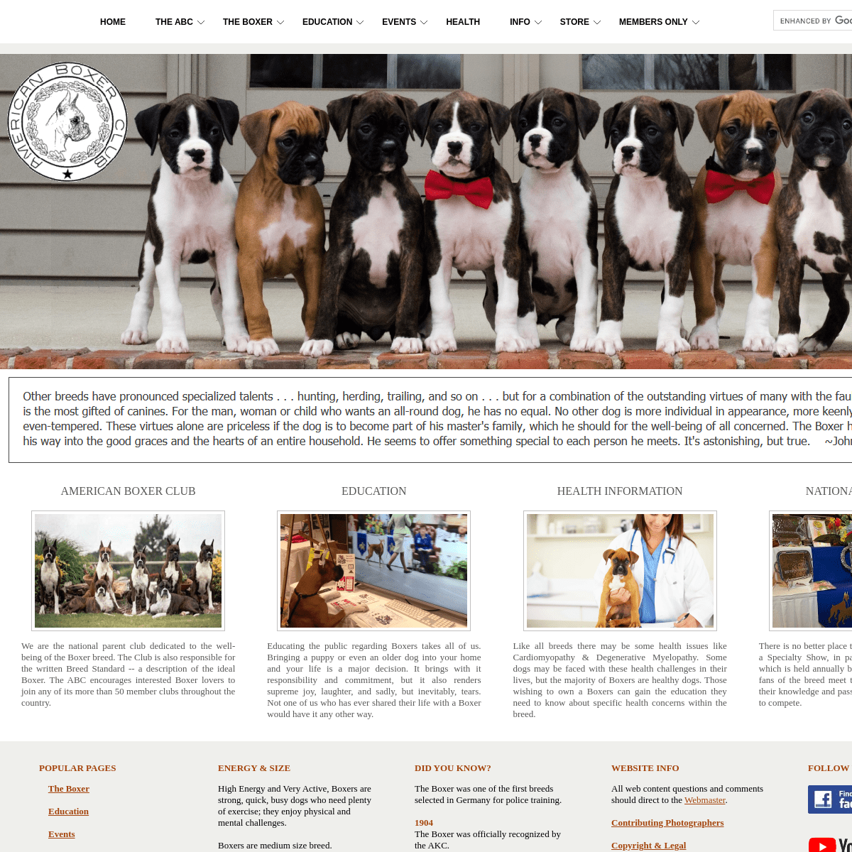 A complete backup of https://americanboxerclub.org