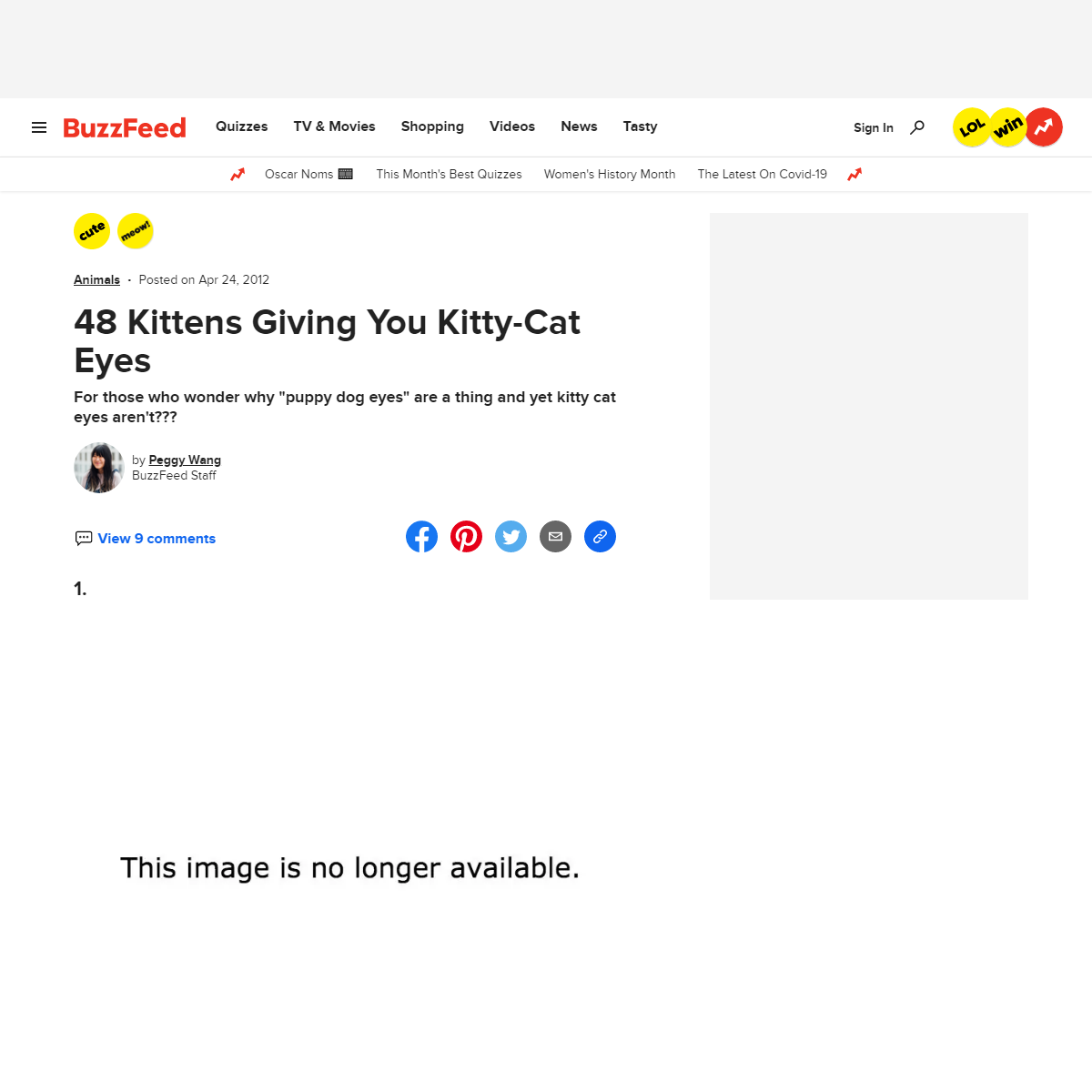 A complete backup of https://www.buzzfeed.com/peggy/50-kittens-giving-you-kitty-cat-eyes
