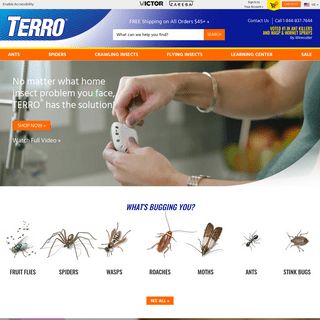 A complete backup of https://terro.com