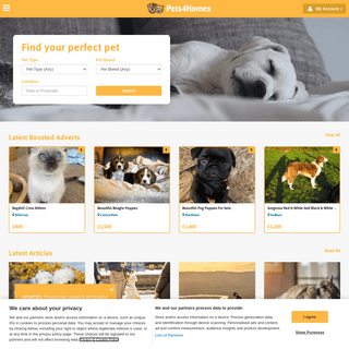 A complete backup of https://pets4homes.co.uk