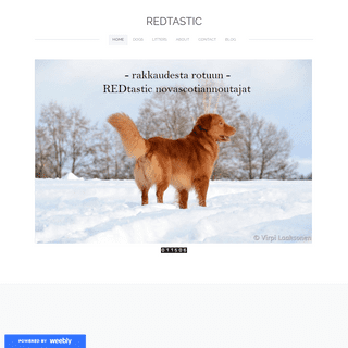 A complete backup of http://redtastic.weebly.com/